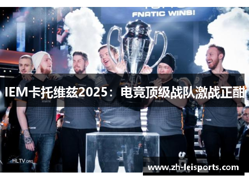 IEM卡托维兹2025：电竞顶级战队激战正酣