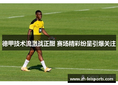 德甲技术流激战正酣 赛场精彩纷呈引爆关注